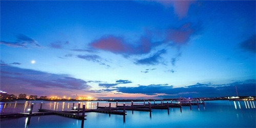 一只鲍鲍汁焖鸡