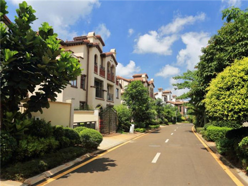 在内黄县可以开一家炸鸡店吗，在内黄县加盟鸡元帅鸡排开店能赚钱吗