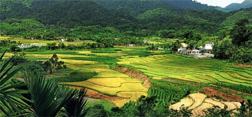 茂霞村有什么景点（茂霞村有什么景点吗）