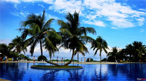 成功属于勇敢的人是什么歌（勇敢是成功的一半）