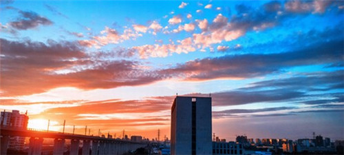 獺字寓意（懒字寓意是什么）