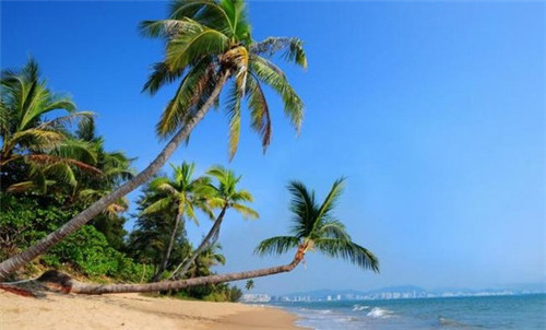 物业有权利进入业主家吗（物业可以进入业主家吗）