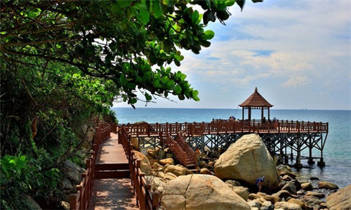 新文科类创业项目有哪些（文科创业学什么专业好）