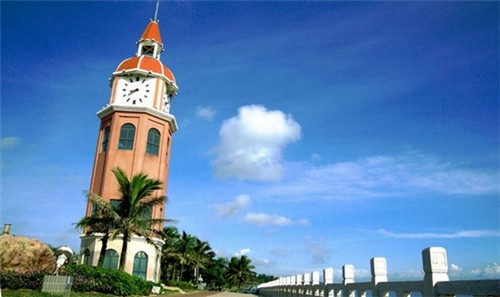 蓝如意茶杯品牌推荐（蓝如意三角梅图片）