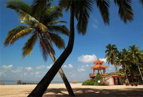 什么去装修气味最有效（什么去装修异味的效果好）