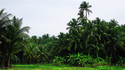 维不变此情悠悠是什么歌（唯变不变下一句）